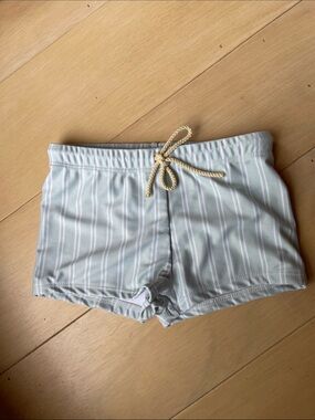 Minnow swim trunks
